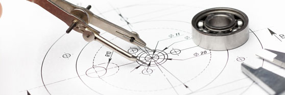 Project involvements